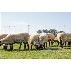 Siatka dla owiec TopLine Net, 50 m, 108 cm, pod. szpic, biało-pomarańczowa, Kerbl-347766437