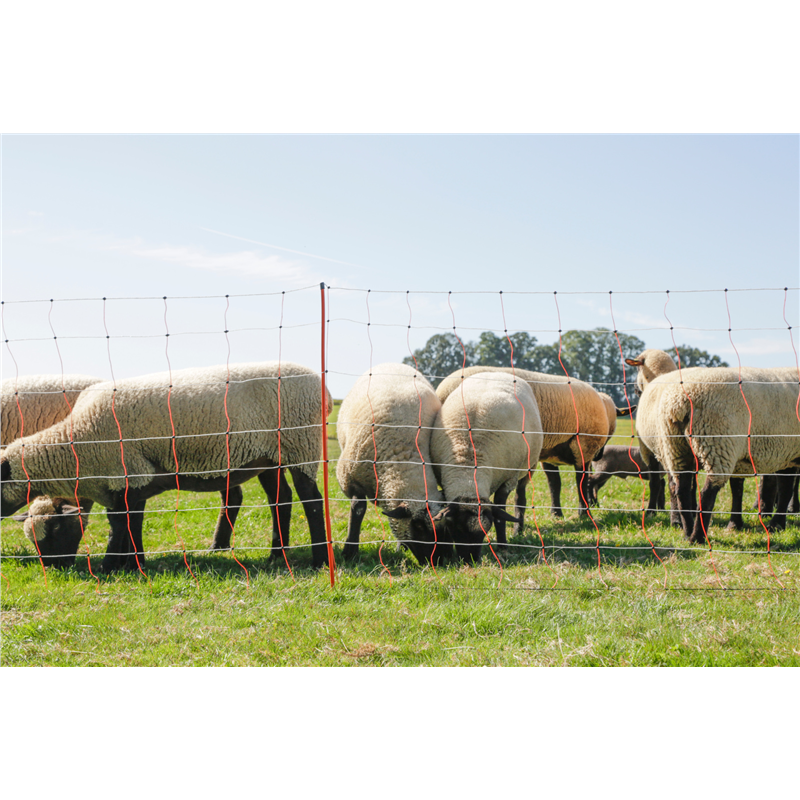 Siatka dla owiec TopLine Net, 50 m, 108 cm, pod. szpic, biało-pomarańczowa, Kerbl-347766437