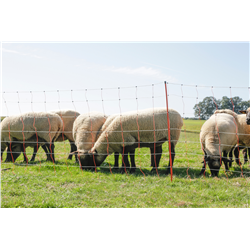 Siatka dla owiec TopLine Net, 50 m, 108 cm, pod. szpic, biało-pomarańczowa, Kerbl-347766436