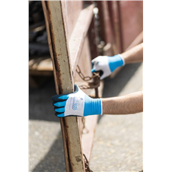 Rękawice oddychające, BAREHAND COOL, rozmiar 8, Kerbl-347764838