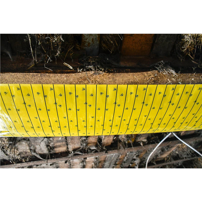 Lep na muchy w rolce, FlyMaster, 10 m x 40 cm, Cit-347550753