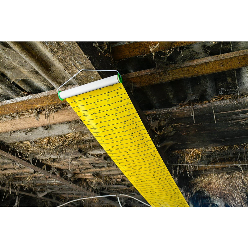 Lep na muchy w rolce, FlyMaster, 10 m x 40 cm, Cit-347764456