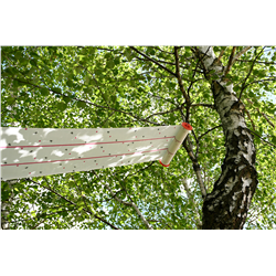 Lep na muchy w rolce, 10 m x 25 cm, CIT-347762546