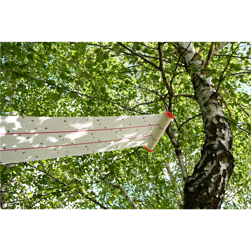 Lep na muchy w rolce, 10 m x 25 cm, CIT-347762546