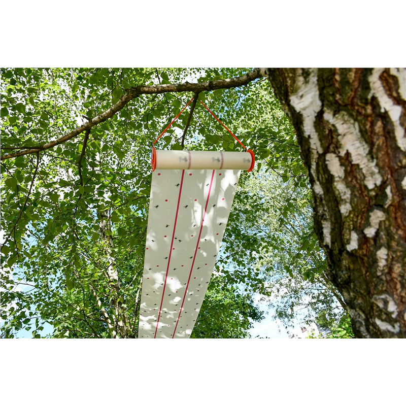 Lep na muchy w rolce, 10 m x 25 cm, CIT-347548842
