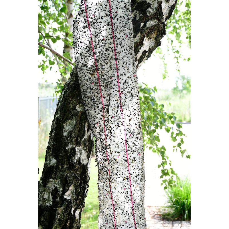 Lep na muchy w rolce, 10 m x 25 cm, CIT-347548844