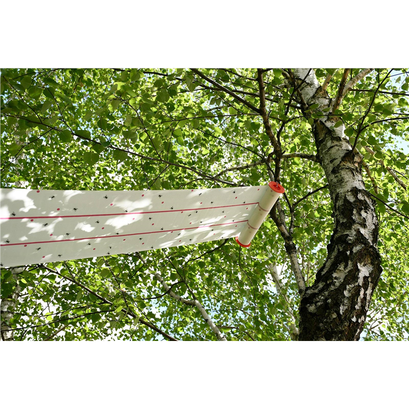 Lep na muchy w rolce, 10 m x 25 cm, CIT-347548841