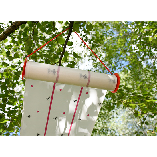 Lep na muchy w rolce, 10 m x 25 cm, CIT-347762543