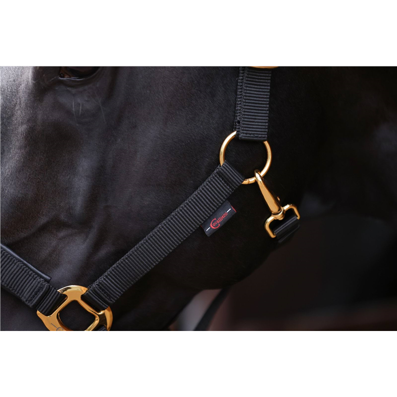 Kantar dla konia TopLine, czarny, roz. Foal, Covalliero-347758393