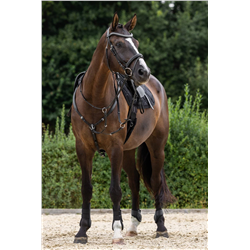 Ogłowie dla konia Clincher, czarny, roz. Cob, Covalliero-347553822