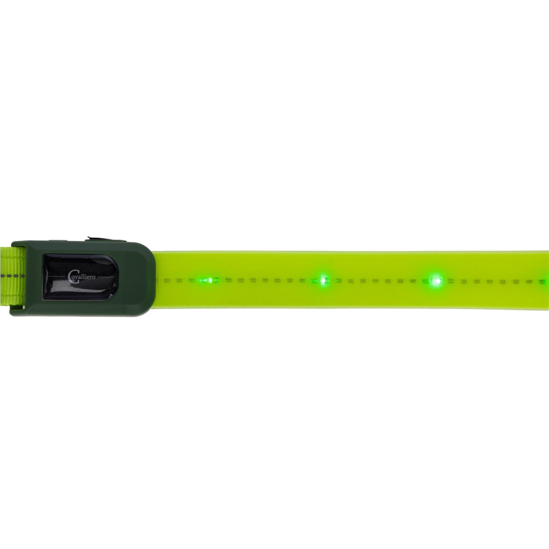 Napierśnik LED dla konia, Covalliero-347553524