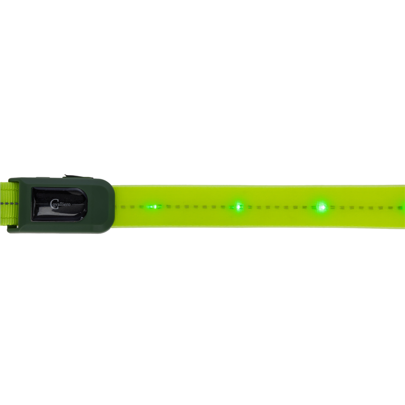 Napierśnik LED dla konia, Covalliero-347767234
