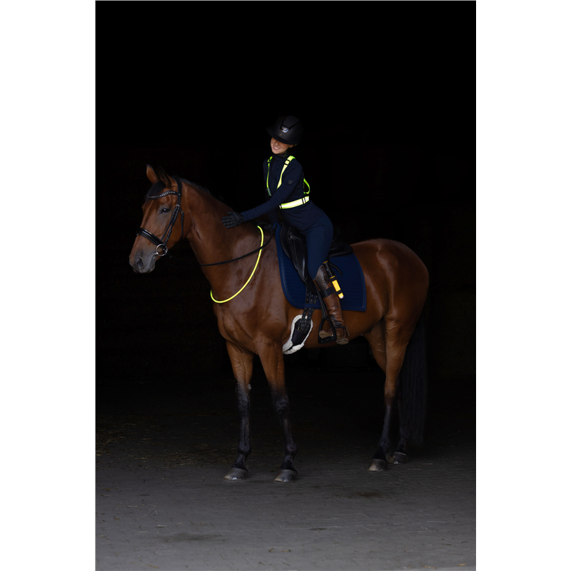 Obroża LED dla konia, Covalliero-347924112