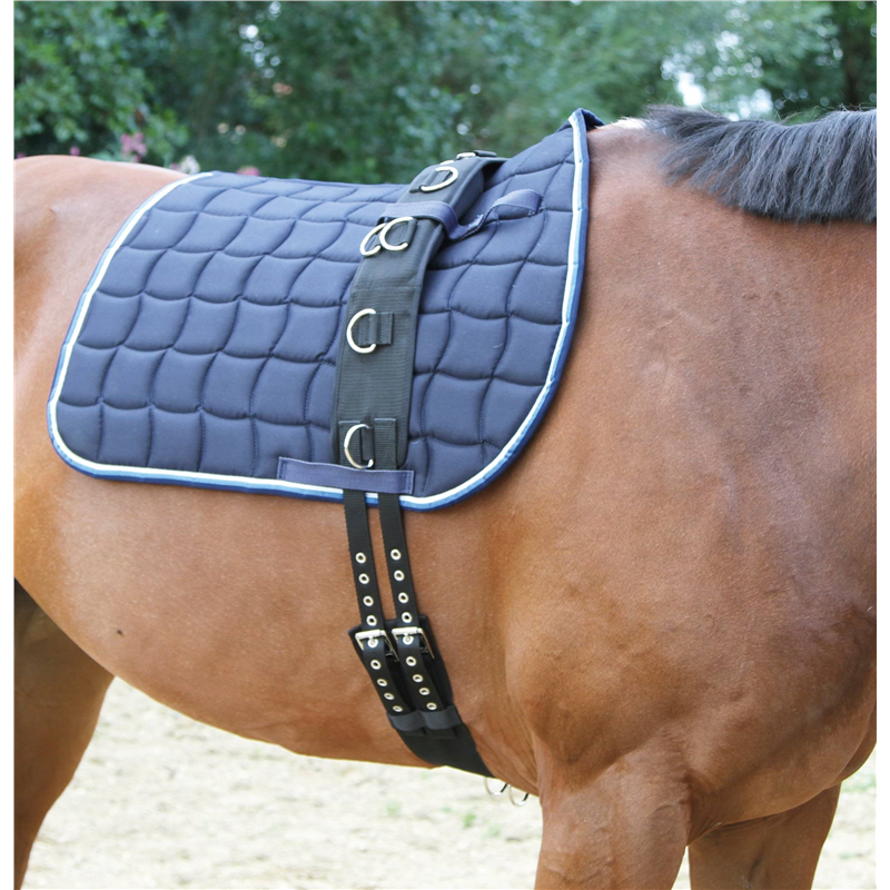 Pas do lonżowania, roz. Pony, Covalliero-347541952