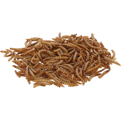 Suszone larwy mącznika, 900 g, Kerbl-347920182