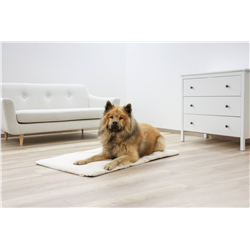 Materac dla psa Theo, 75 x 50 cm, Kerbl-347539832