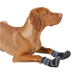Buty dla psa Active, S, Kerbl-347540078