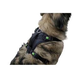 Szelki dla psa Pulsive, obwód szyi 50 - 62 cm, czarne, Kerbl-347542985