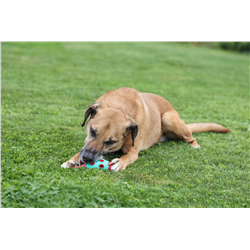 Zabawka dla psa Cone ToyFastic, 15 x 6,5 cm, Kerbl-347756726