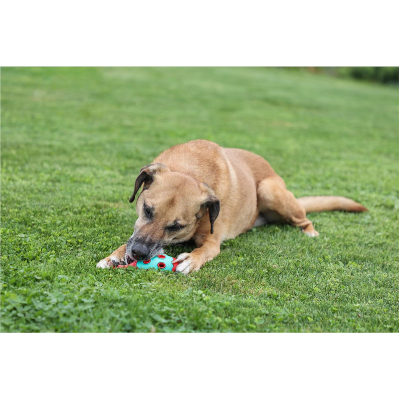 Zabawka dla psa Cone ToyFastic, 15 x 6,5 cm, Kerbl-347756726