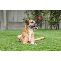 Zabawka dla psa Cone ToyFastic, 15 x 6,5 cm, Kerbl-347543074