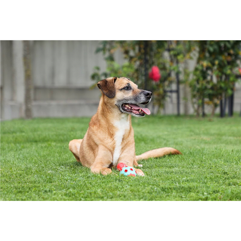 Zabawka dla psa Cone ToyFastic, 15 x 6,5 cm, Kerbl-347543074
