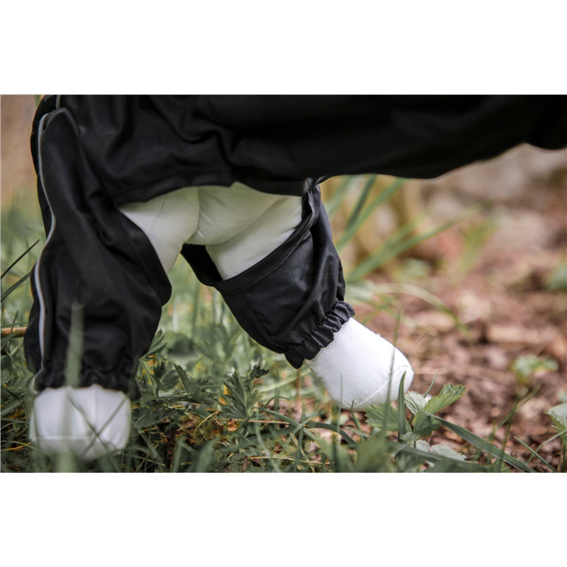Płaszcz przeciwdeszczowy dla psa Manchester, 30 cm, XS, Kerbl-347752731