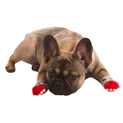 Skarpety dla psa Bruno, 3 x 7,5 cm, S, Kerbl-347753552