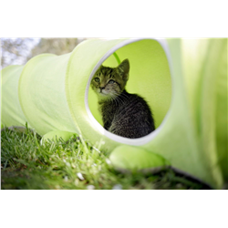 Tunel dla kota Raupe, 170 x 30 cm, Kerbl-347753887