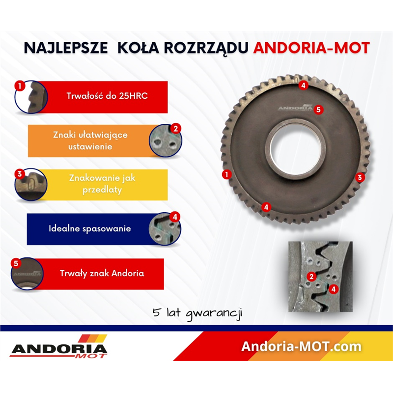 Koło rozrządu pośrednie dolne Z-30 Ursus C-360 ANDORIA-347506971