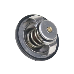 Termostat silnika 81C 60,5mm C2.8116 ANDORIA-347514613