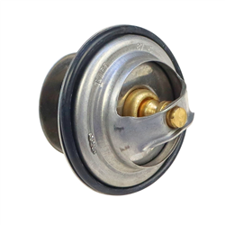 Termostat FENDT TV-165.87-347770481
