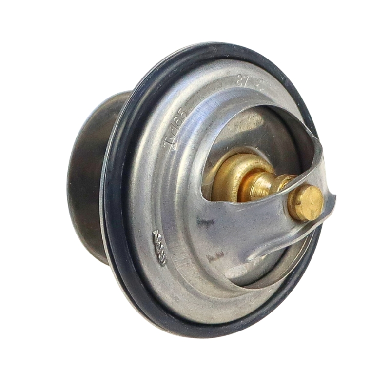 Termostat FENDT TV-165.87-347770481