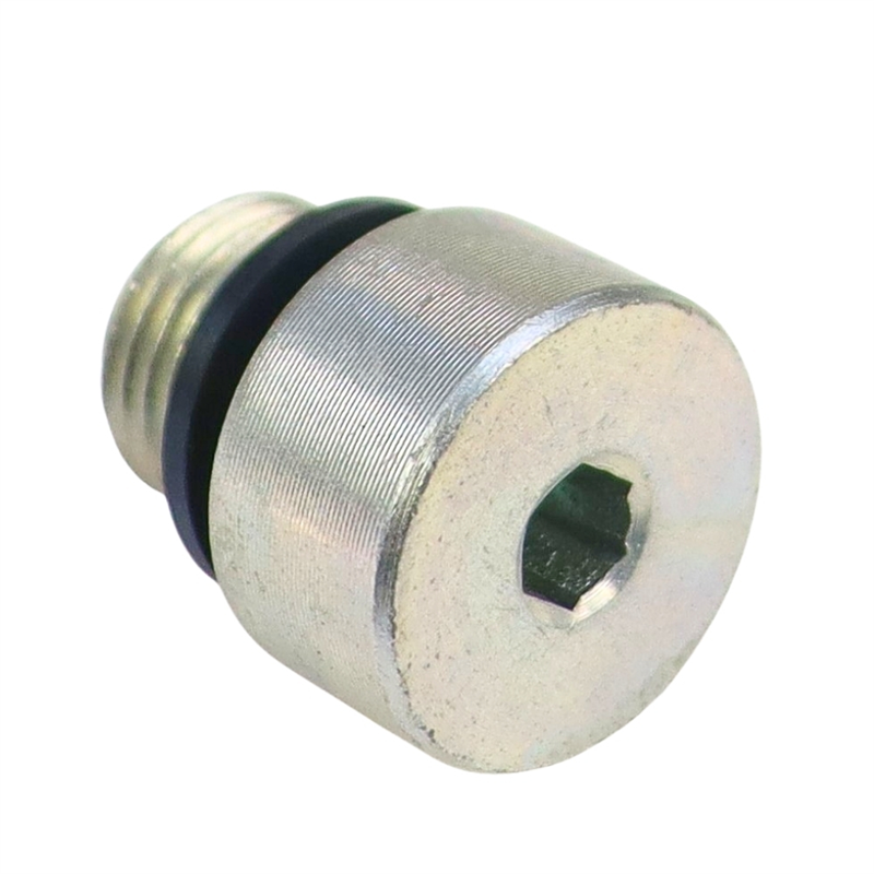Korek gwintowany hydrauliczny B 1/4" + otwór na magnes-347933971