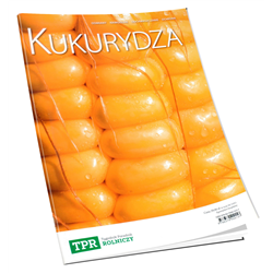 Kukurydza odmiany, nawożenie, odchwaszczanie, ochrona-347500627
