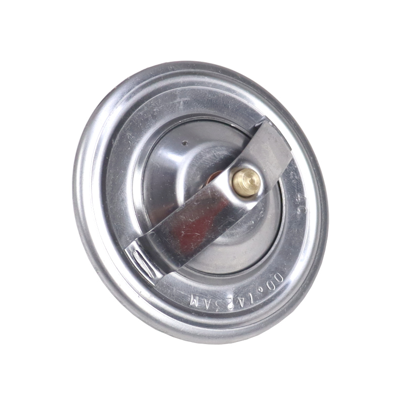 Termostat Bizon silnik SW400 ANDORIA-347514817