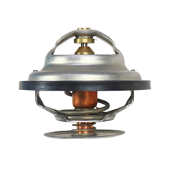 Termostat STEYR-347770488