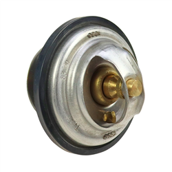 Termostat STEYR-347770490