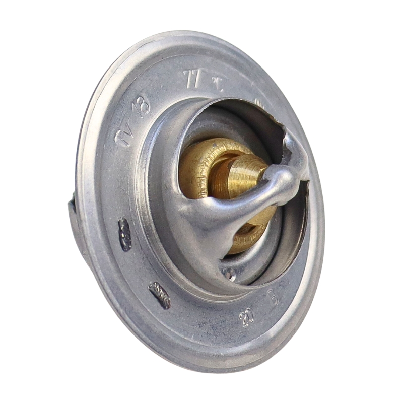Termostat FORD 83916917-347686487