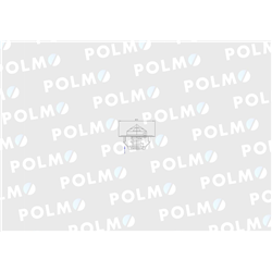 Termostat 6005012123 RENAULT POLMO-347451857