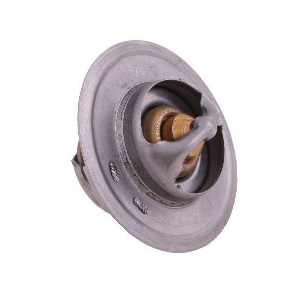 Termostat 895311H1 David Brown CASE POLMO-347451896