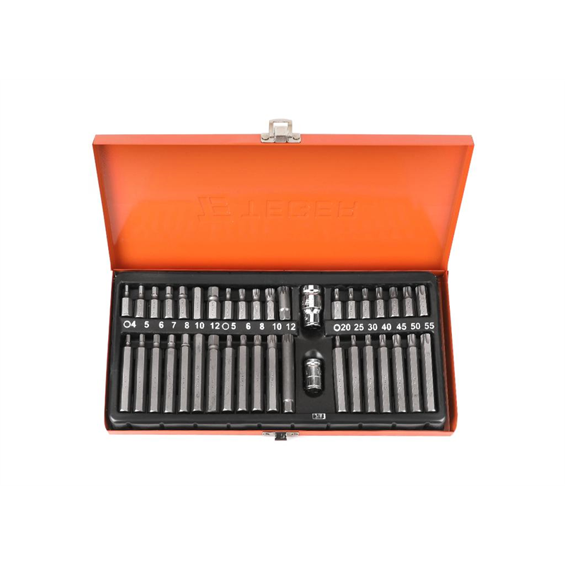Zestaw bitów TORX/SPLINE/HEX (40 el.) / TEGER-347471962