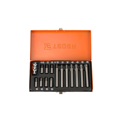 Zestaw bitów TORX (15 el.) / TEGER-347471966