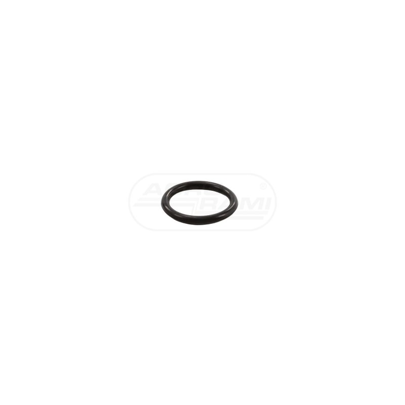 Oring RG00005243